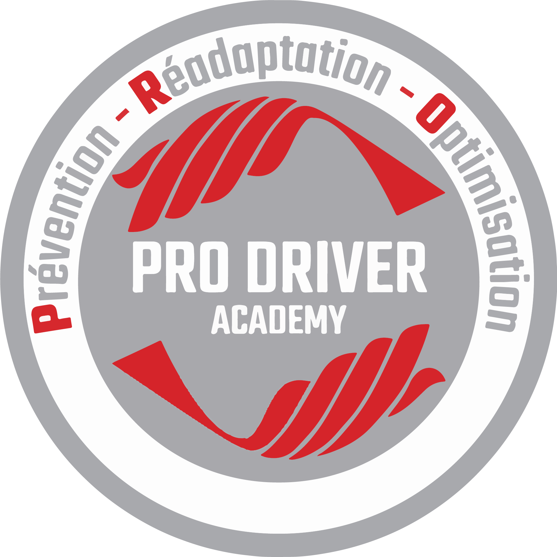 Pro Driver Academy